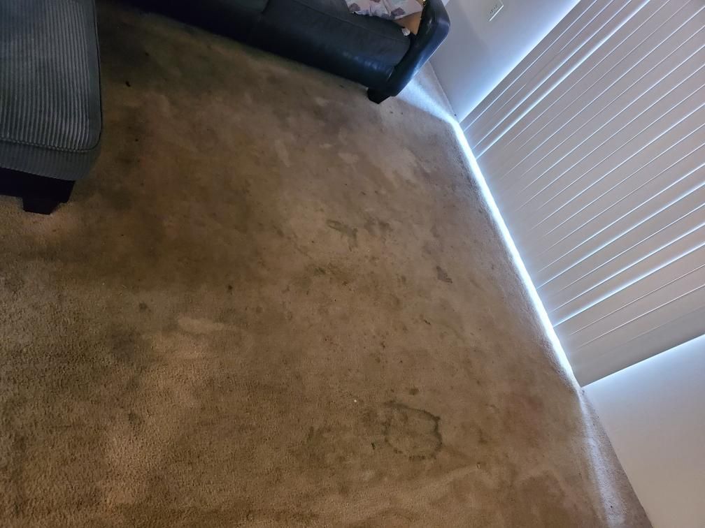 Carpeted room corner with stained tan carpet and window blinds letting in bright light