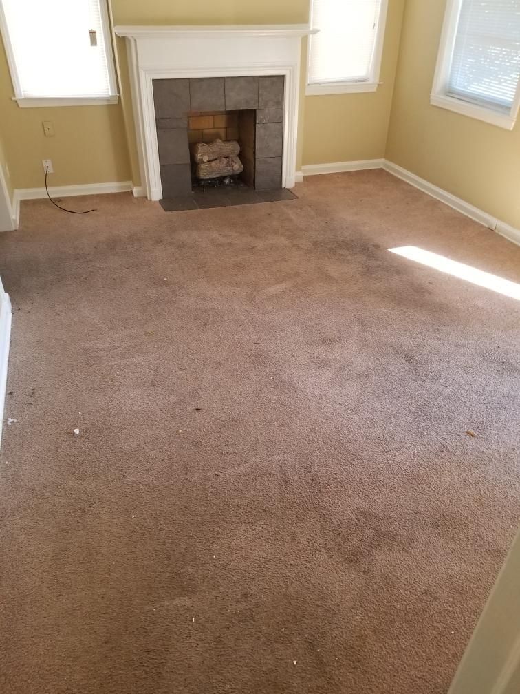 Empty living room with beige carpet, fireplace, and sunlight from windows