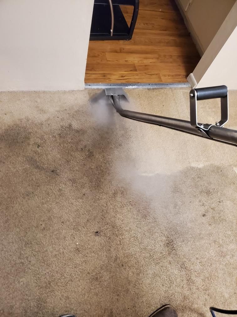 Carpet cleaning wand on a dirty beige carpet near a doorway to wood flooring.