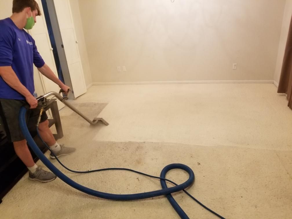 Worker cleaning a carpet with a steam extractor in a beige room
