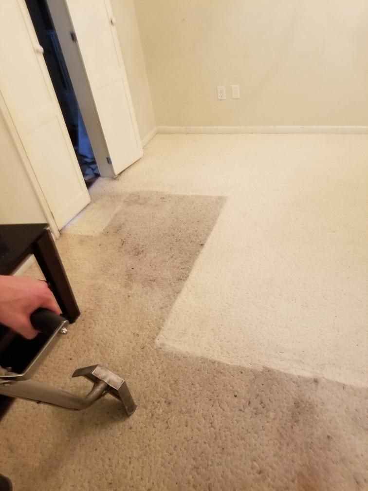 Carpeted hallway with an open door and a white rug on the floor, viewed from a doorway.