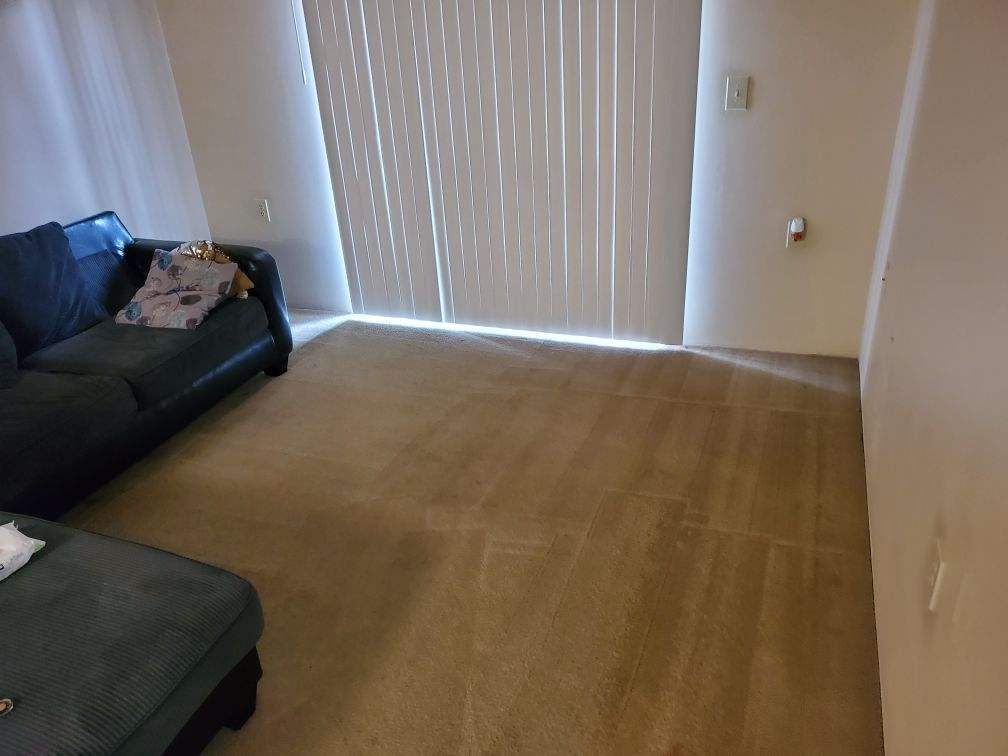 Empty living room with tan carpet, dark sofa, and vertical blinds covering a bright window.
