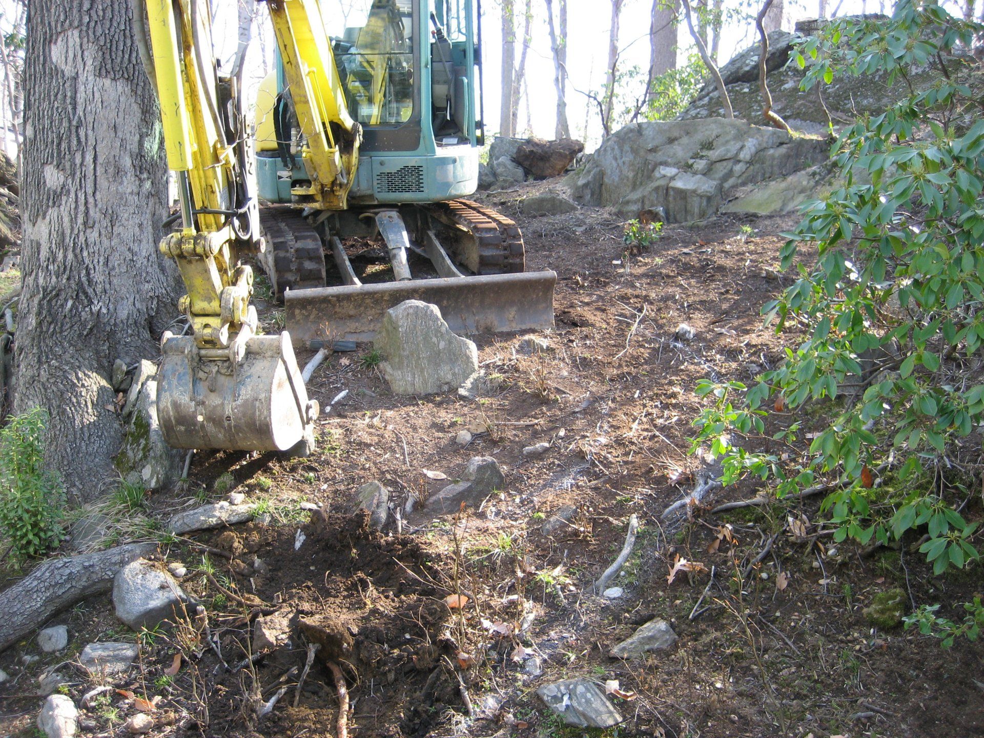 Tom Williamson Landscaping, inc image