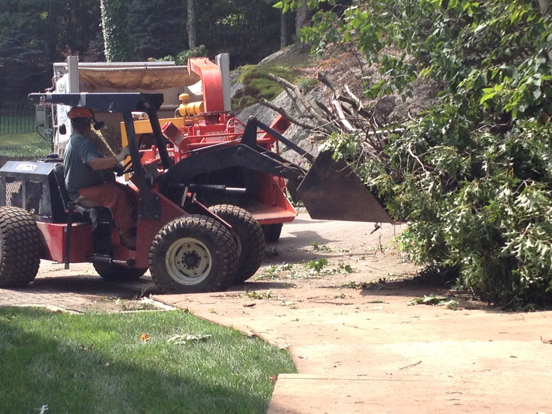 Tom Williamson Landscaping, inc image