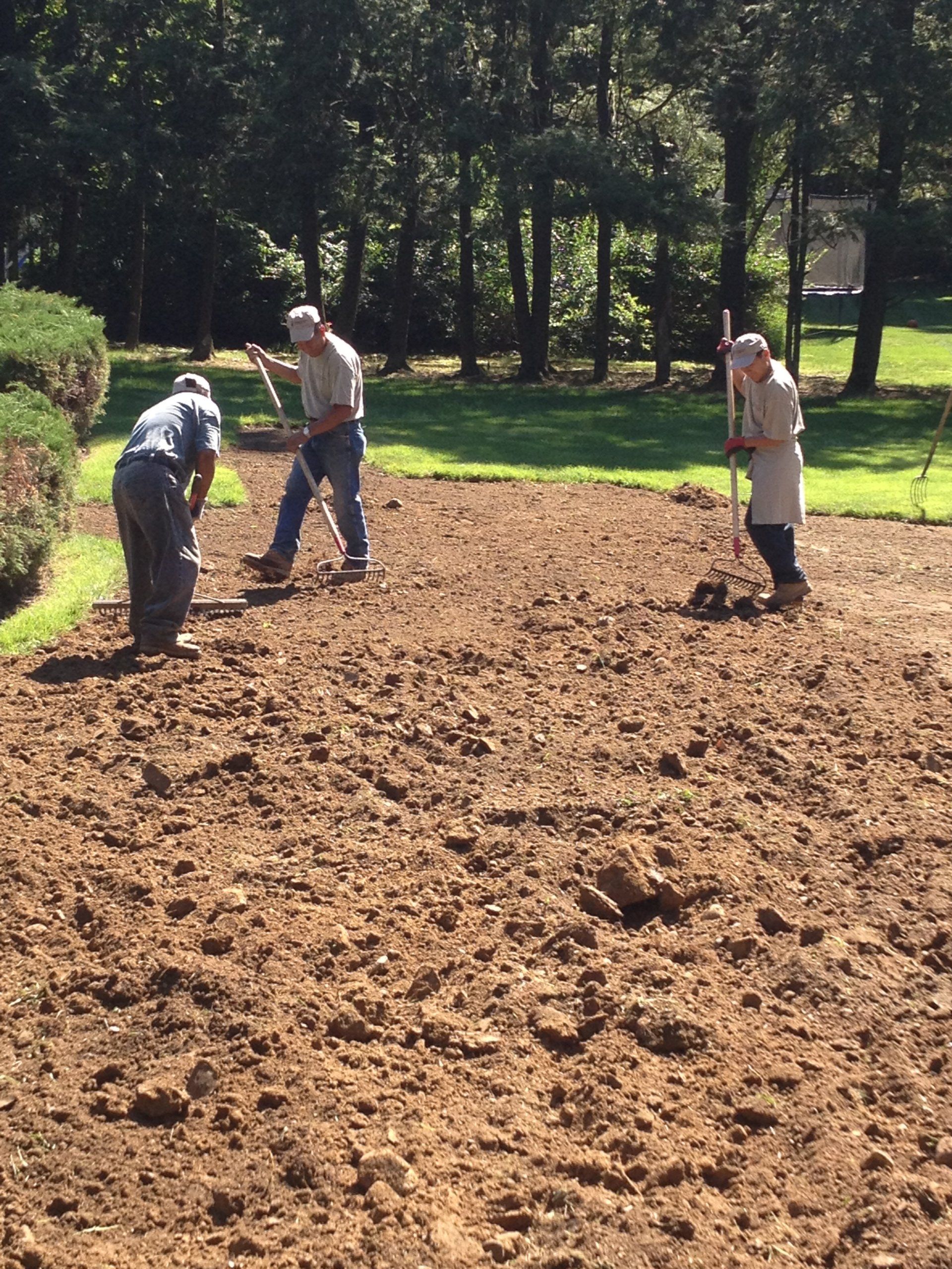 Tom Williamson Landscaping, inc image