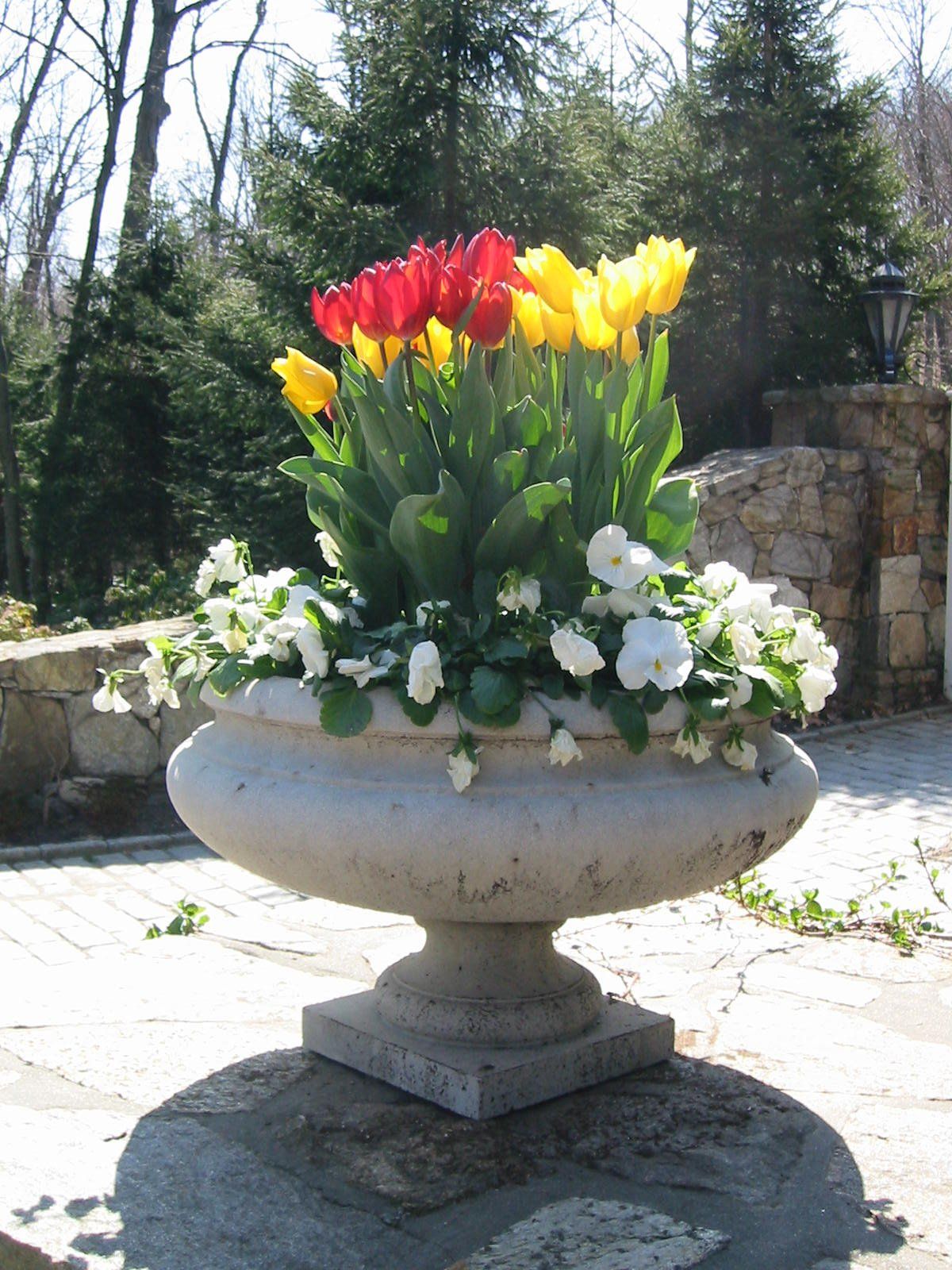 Tom Williamson Landscaping, inc image