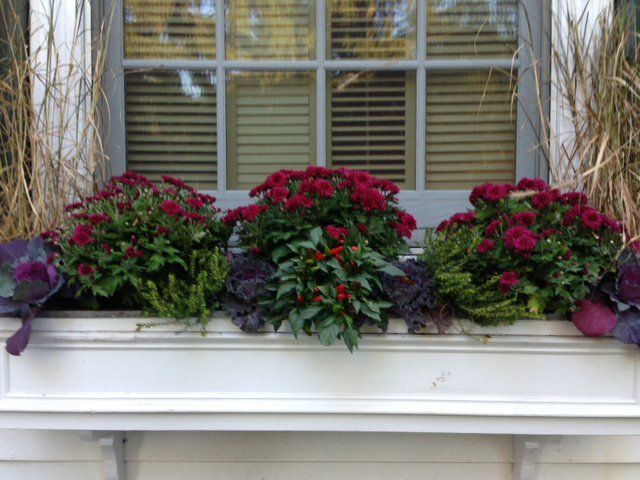 Tom Williamson Landscaping, inc image