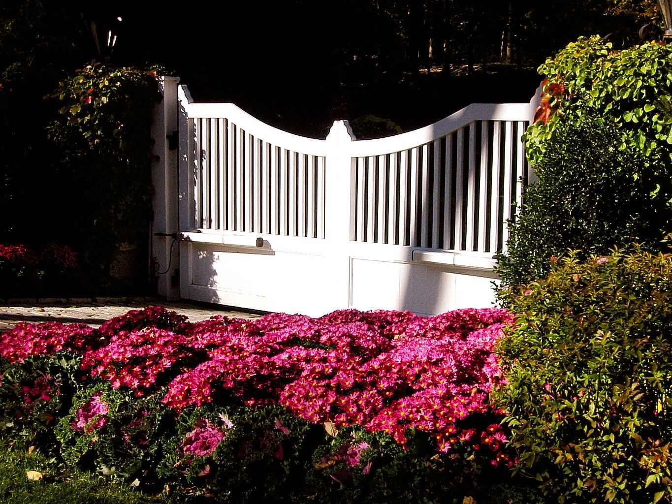 Tom Williamson Landscaping, inc image