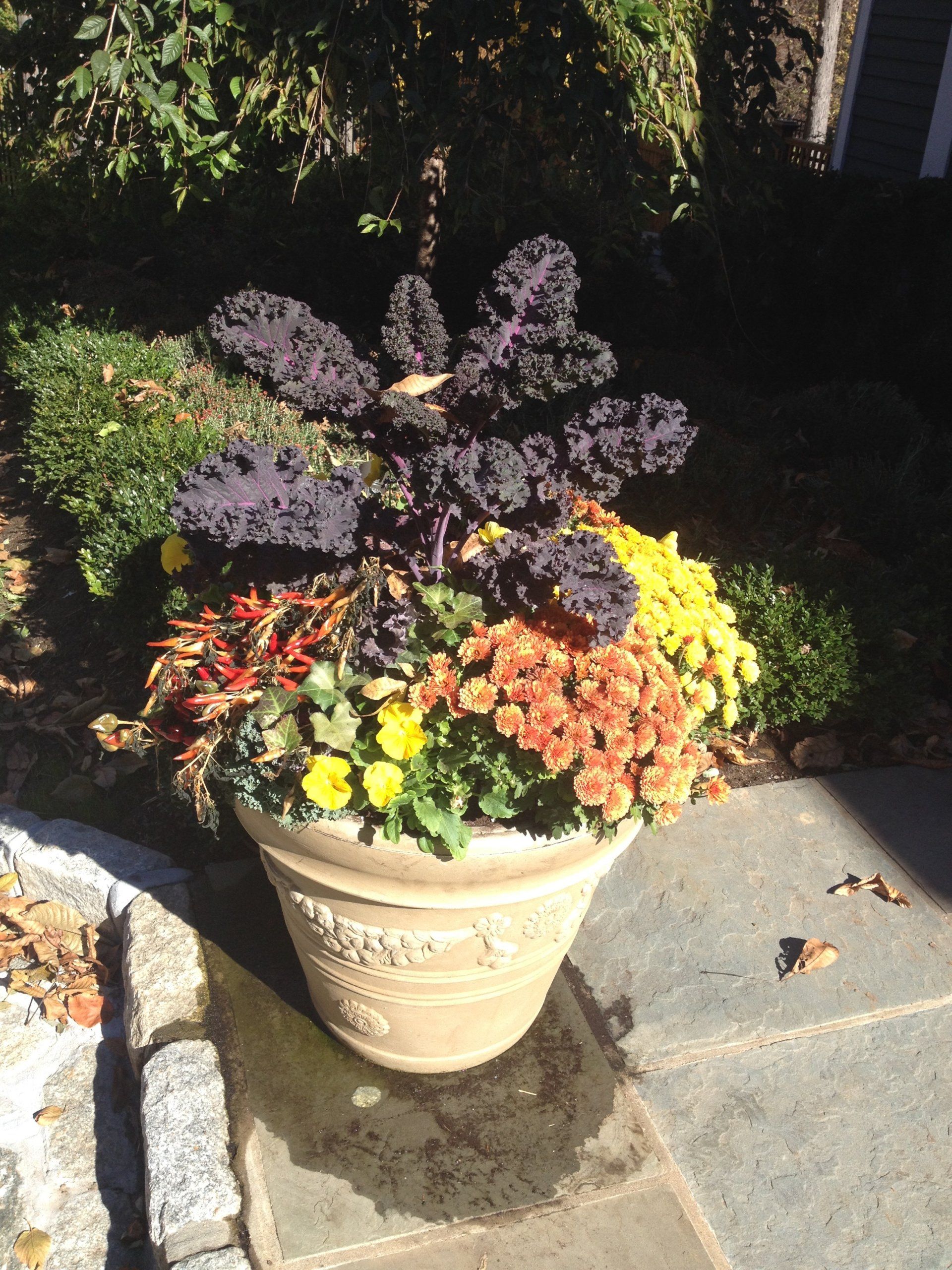 Tom Williamson Landscaping, inc image