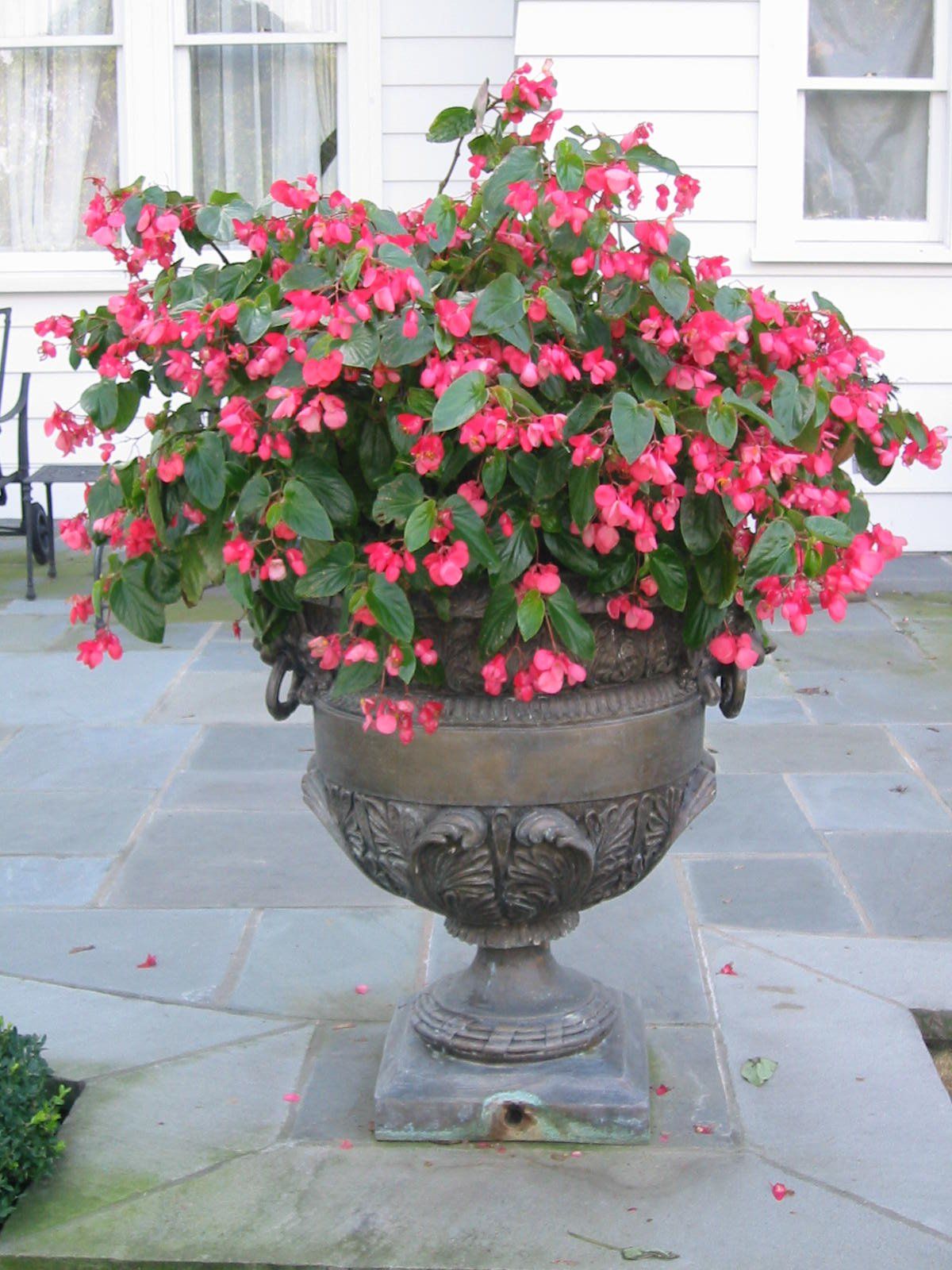 Tom Williamson Landscaping, inc image