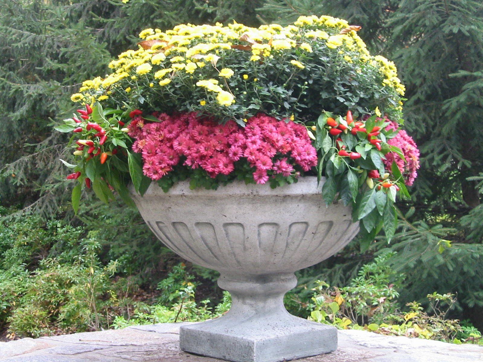 Tom Williamson Landscaping, inc image