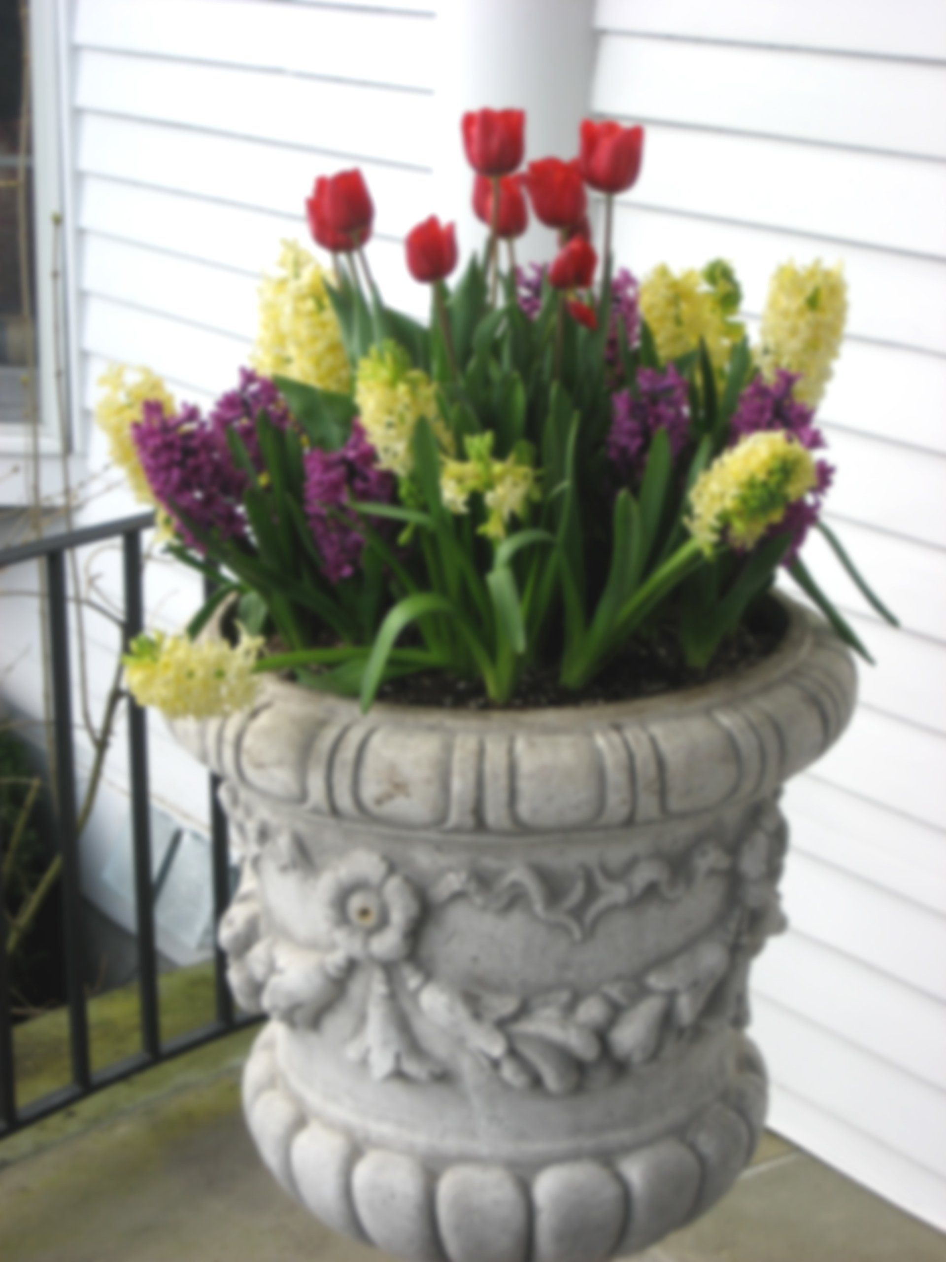 Tom Williamson Landscaping, inc image