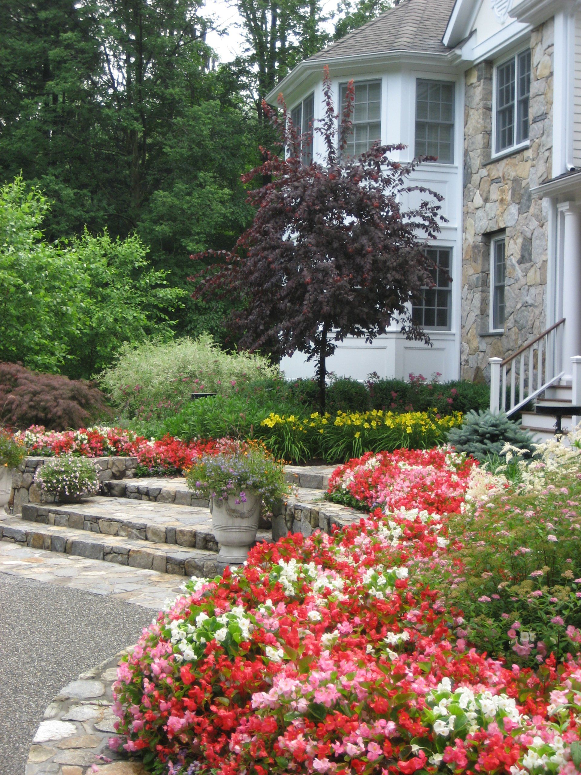 Tom Williamson Landscaping, inc image