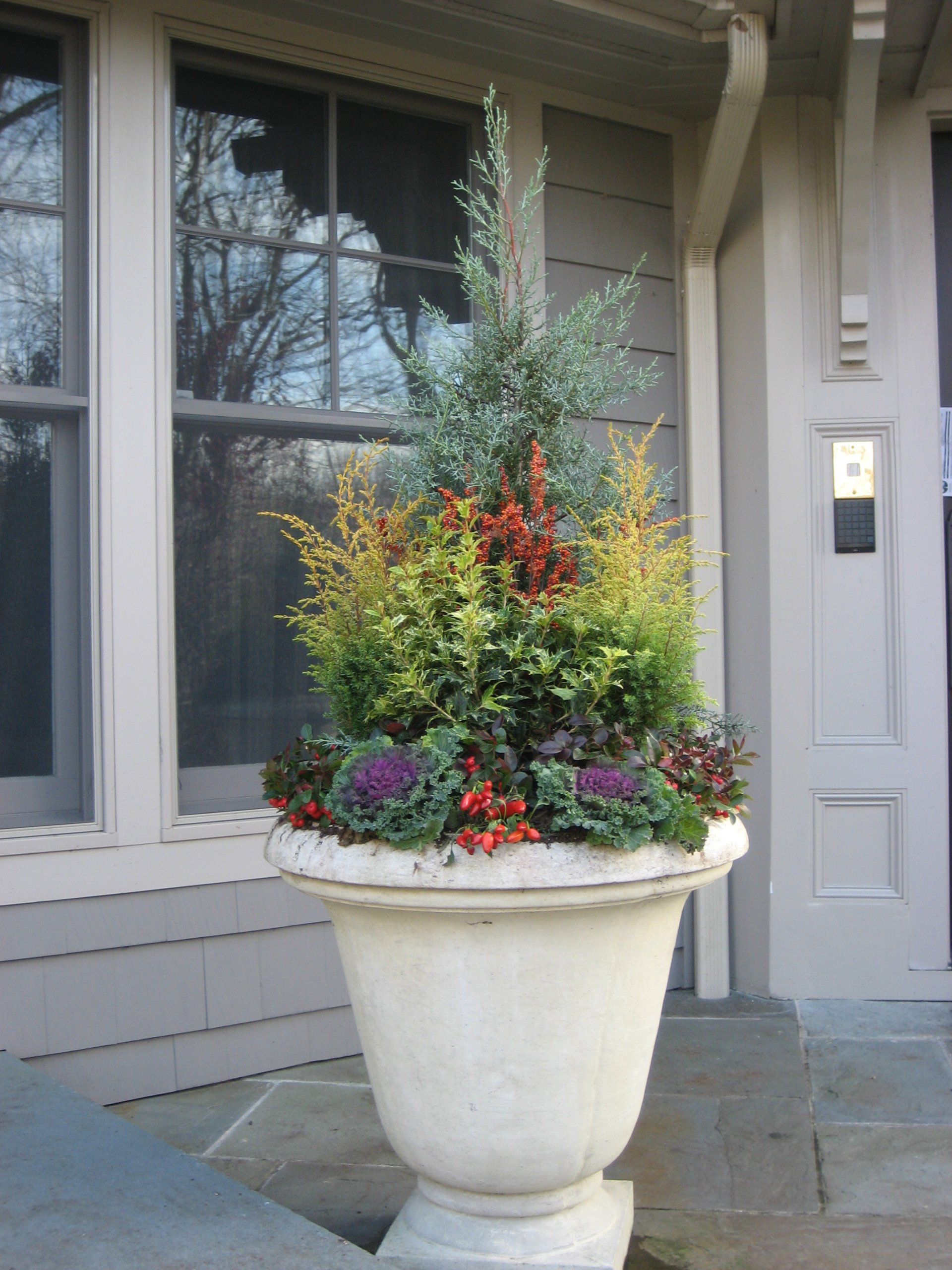 Tom Williamson Landscaping, inc image