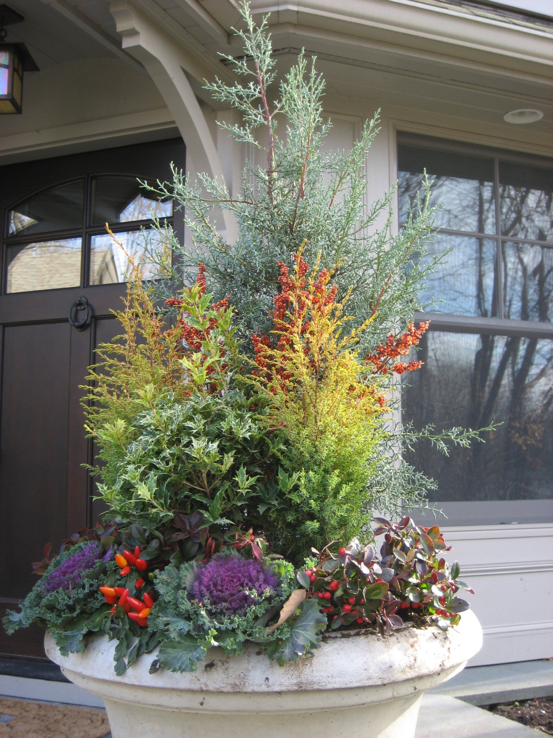 Tom Williamson Landscaping, inc image