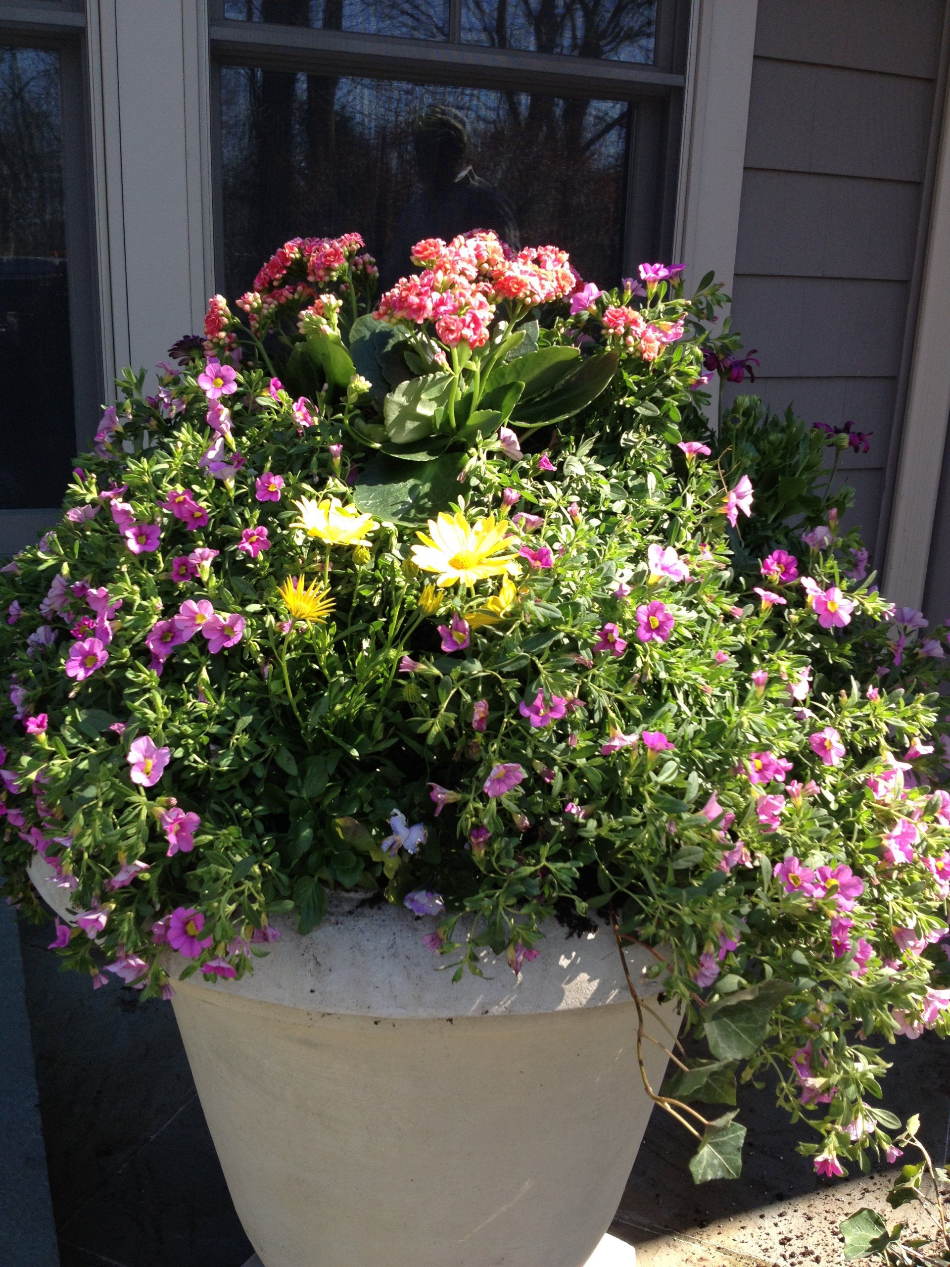 Tom Williamson Landscaping, inc image