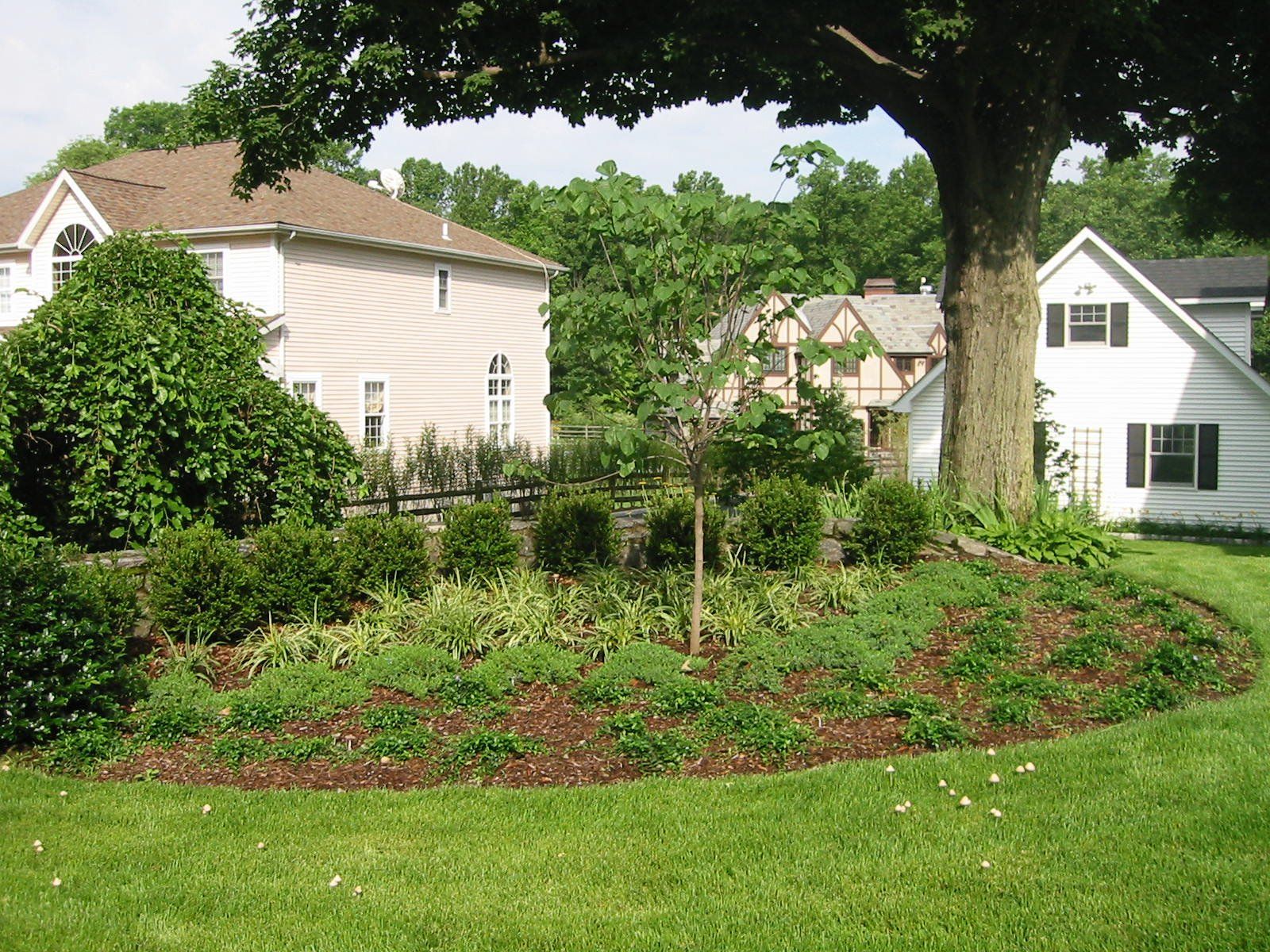 Tom Williamson Landscaping, inc image