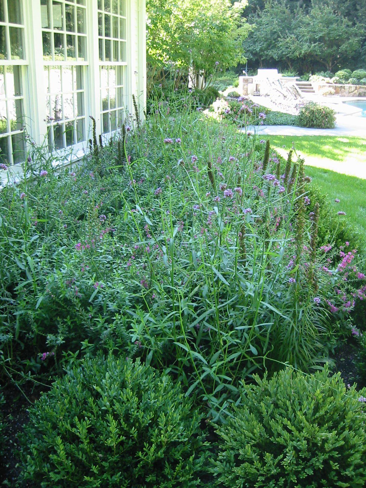 Tom Williamson Landscaping, inc image