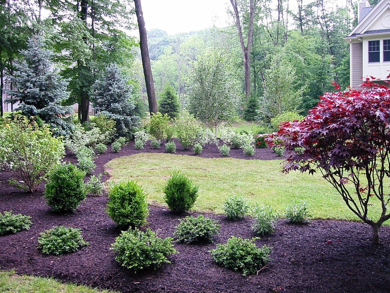 Tom Williamson Landscaping, inc image