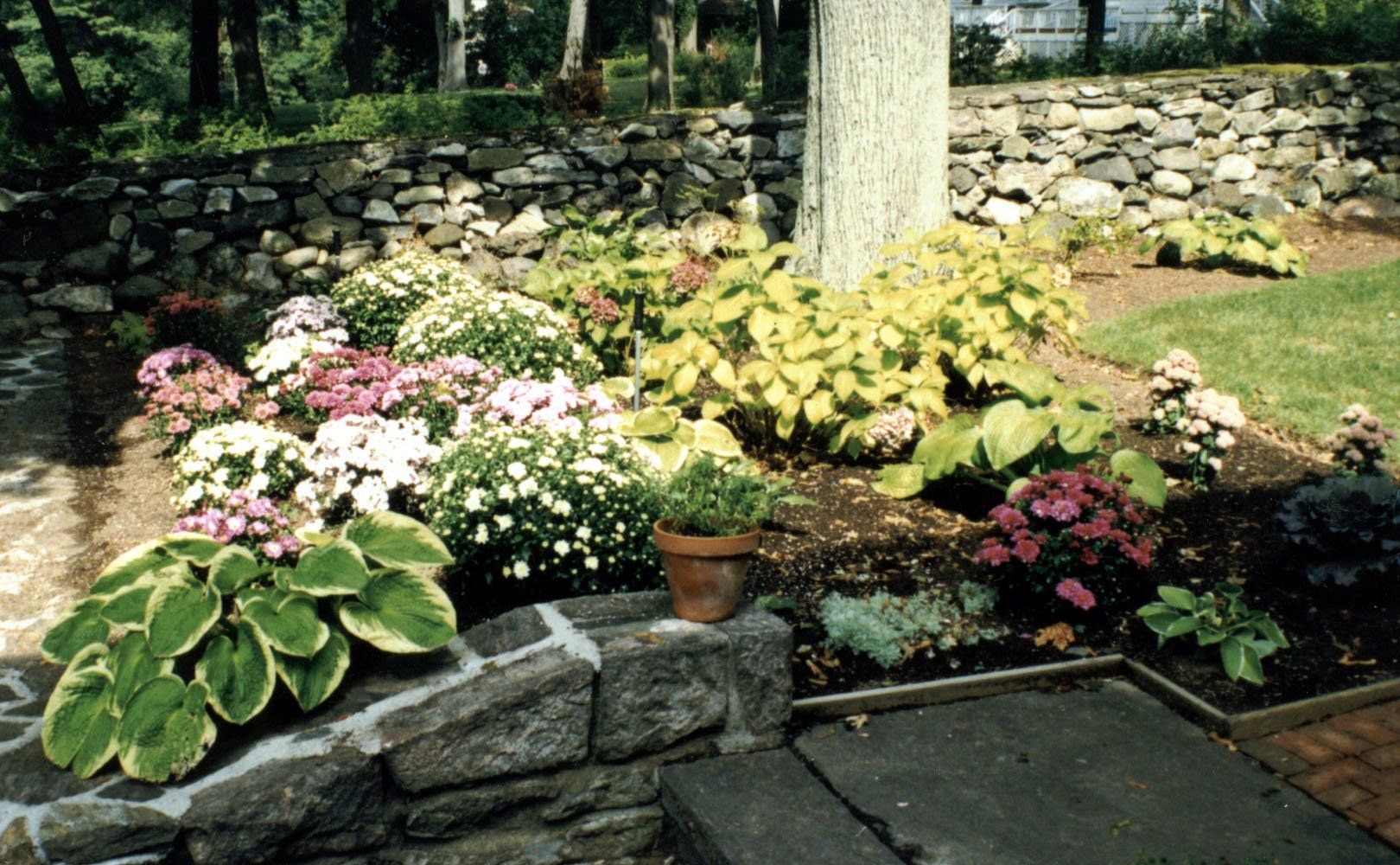 Tom Williamson Landscaping, inc image
