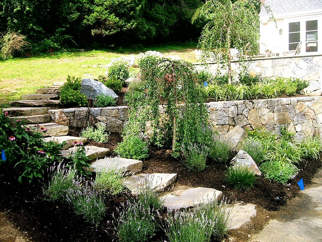 Tom Williamson Landscaping, inc image