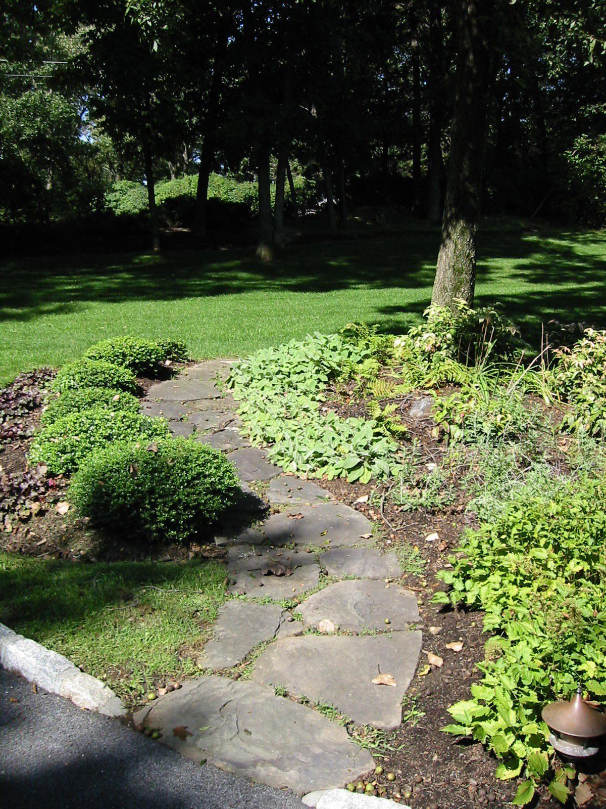 Tom Williamson Landscaping, inc image