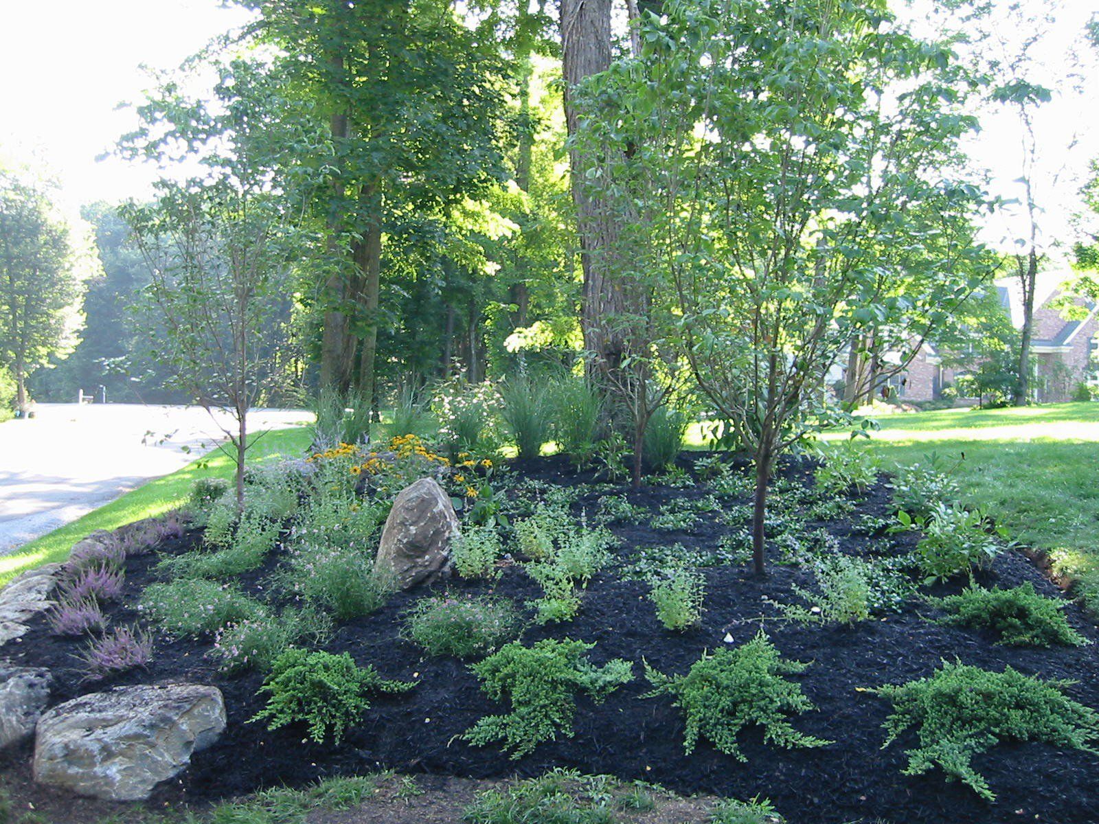 Tom Williamson Landscaping, inc image