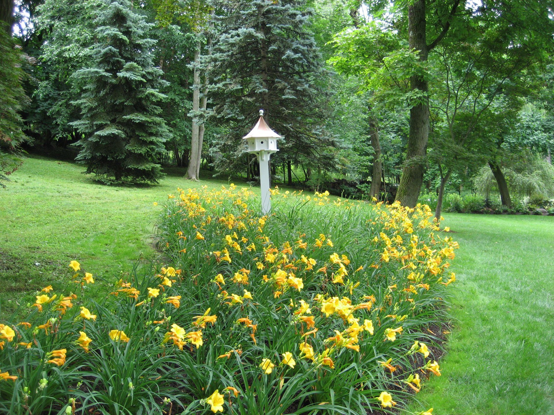 Tom Williamson Landscaping, inc photo