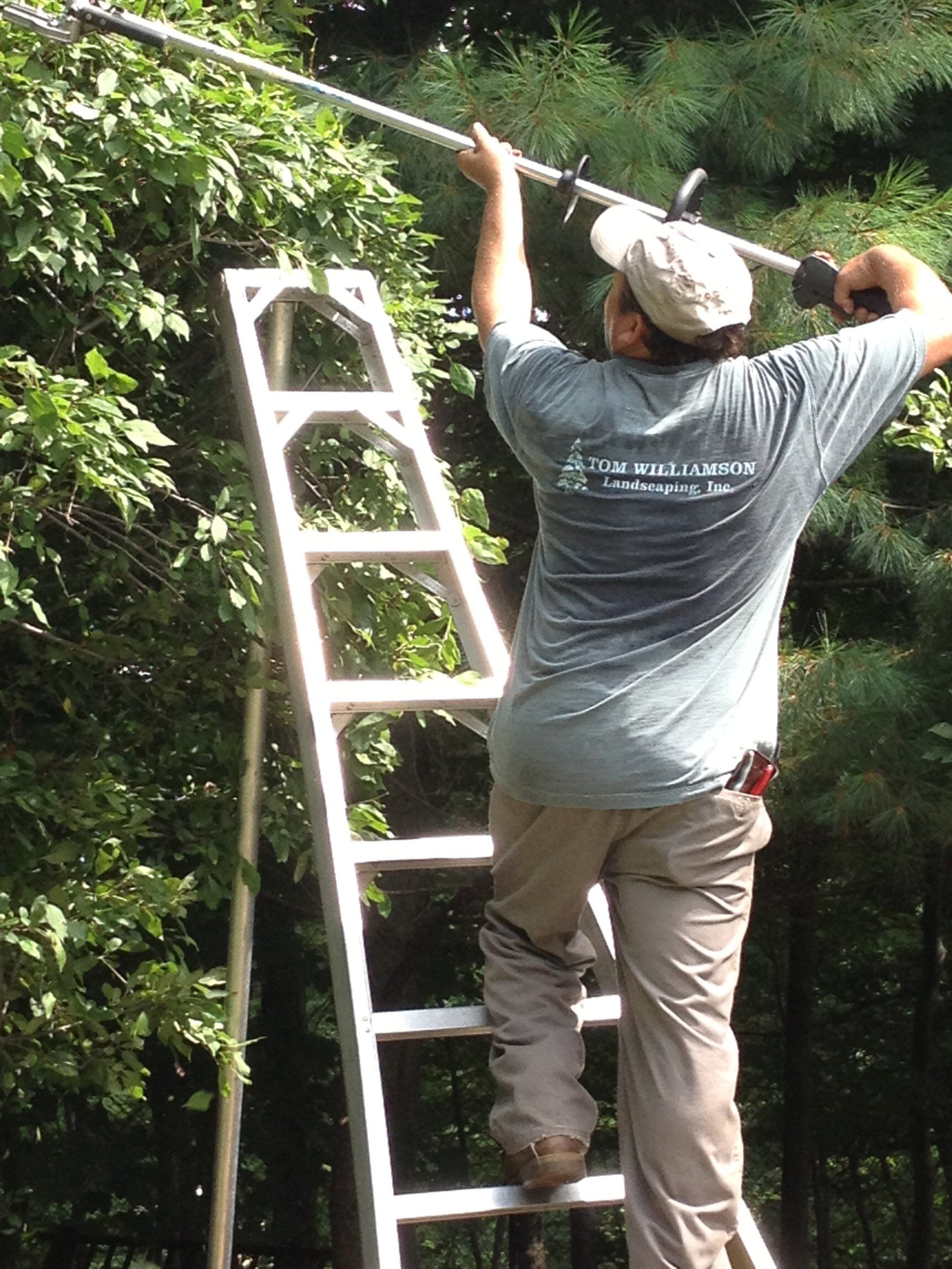 Tom Williamson Landscaping, inc photo