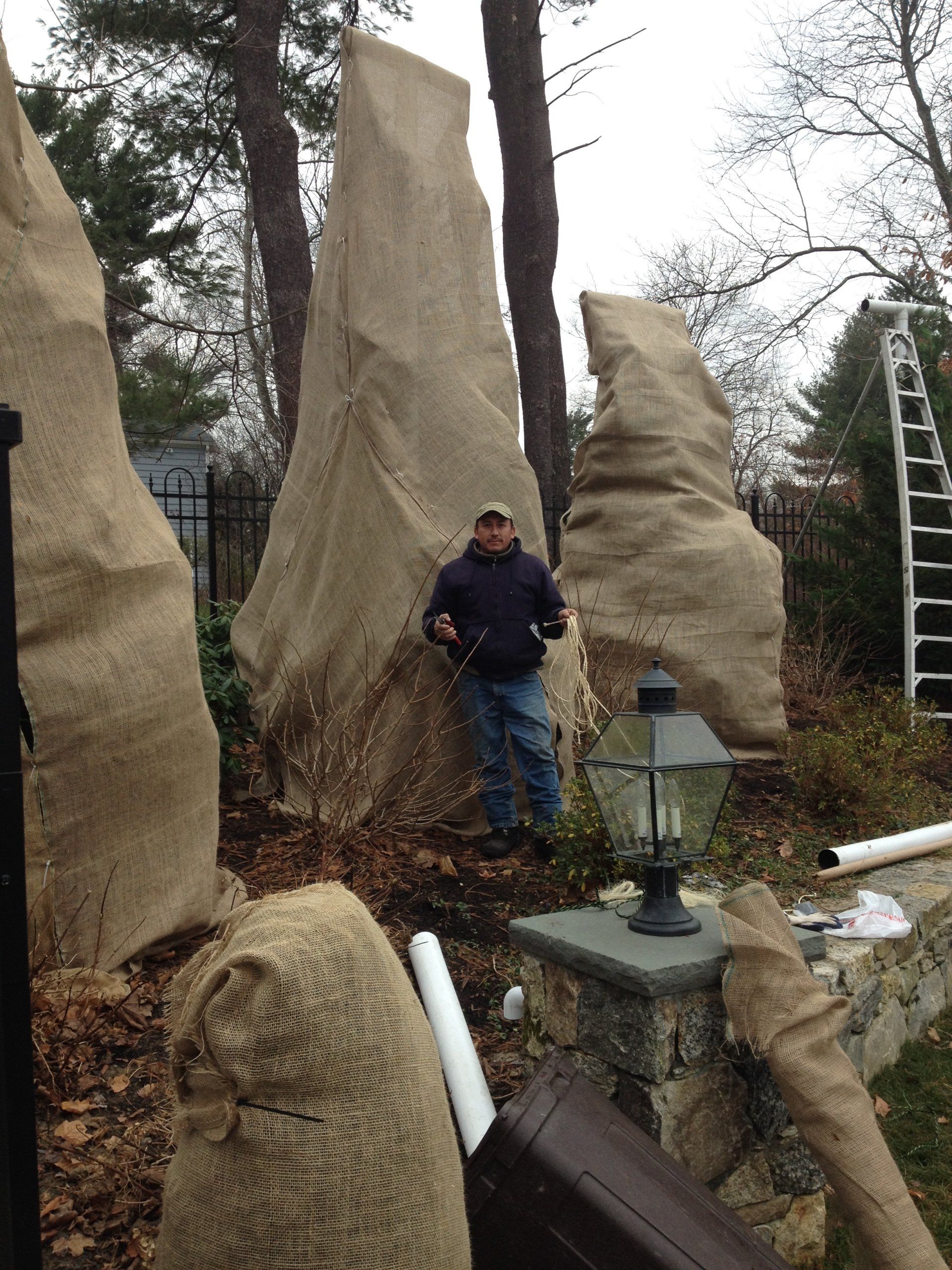 Tom Williamson Landscaping, inc photo