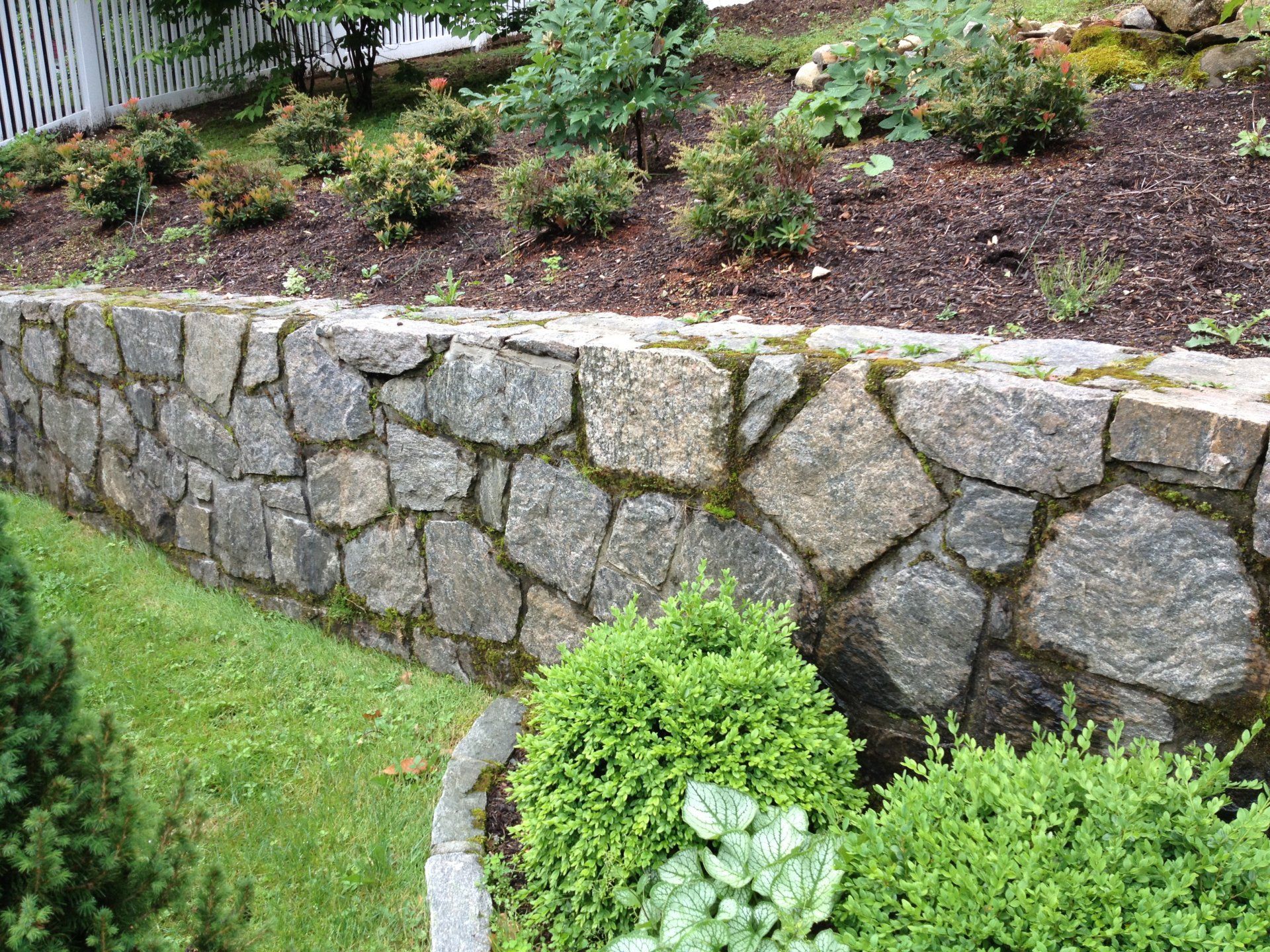 Tom Williamson Landscaping, inc image