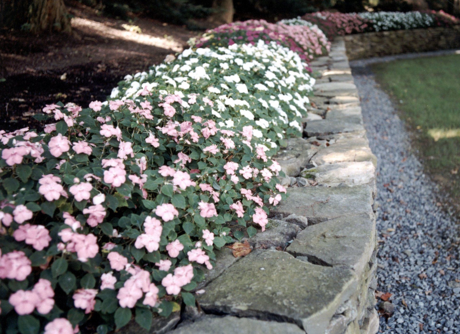 Tom Williamson Landscaping, inc image