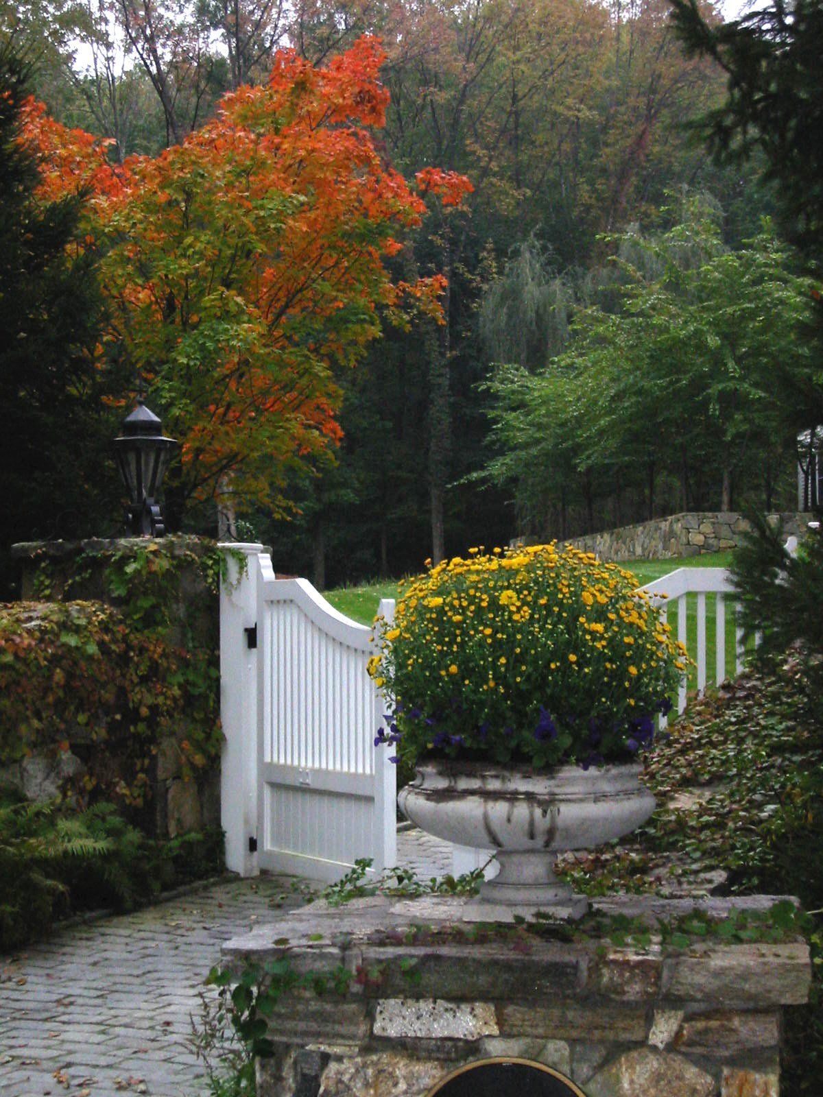 Tom Williamson Landscaping, inc image