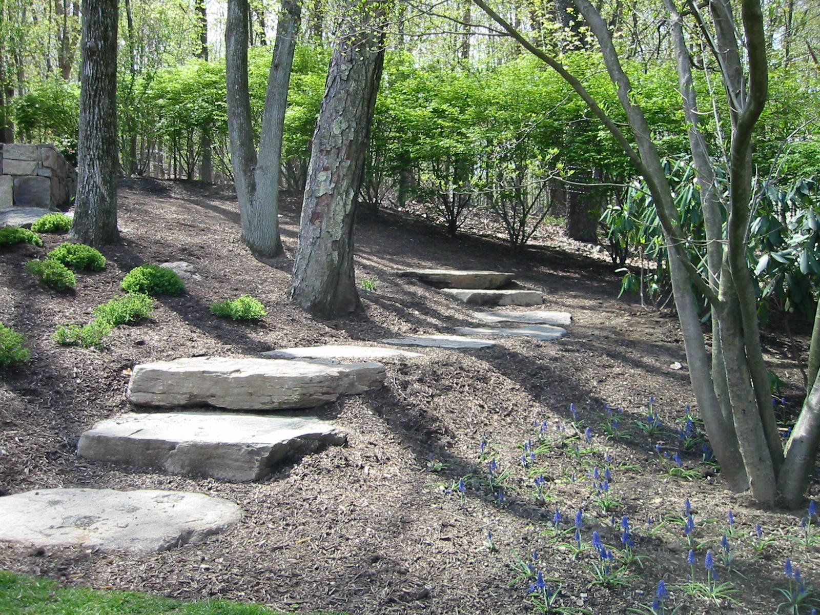 Tom Williamson Landscaping, inc image