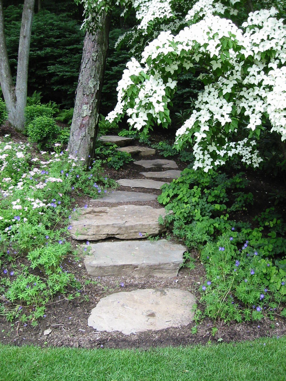 Tom Williamson Landscaping, inc image