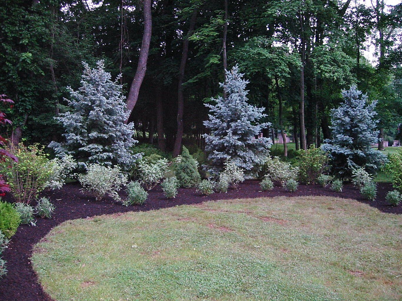 Tom Williamson Landscaping, inc image