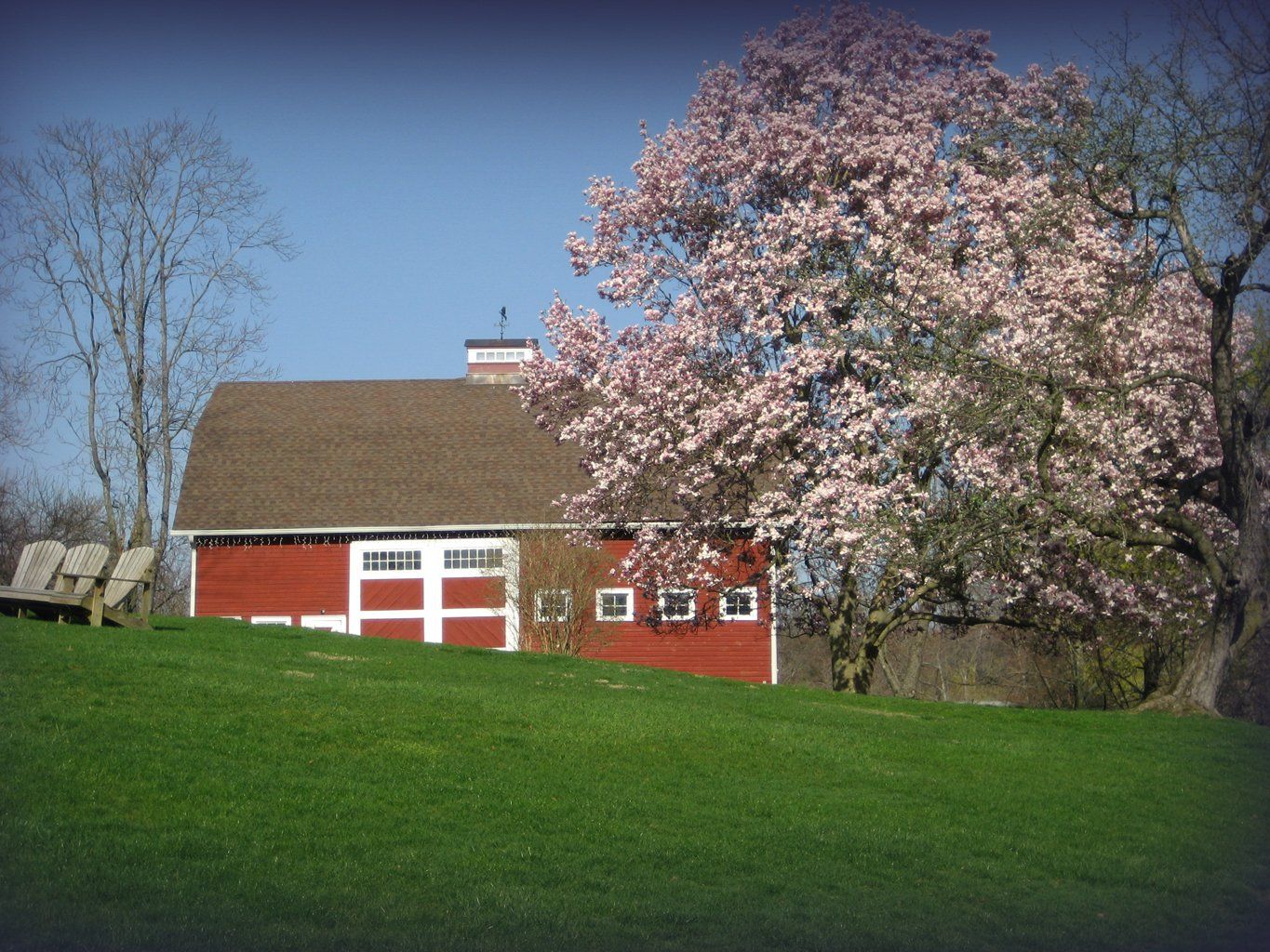 Tom Williamson Landscaping, inc image