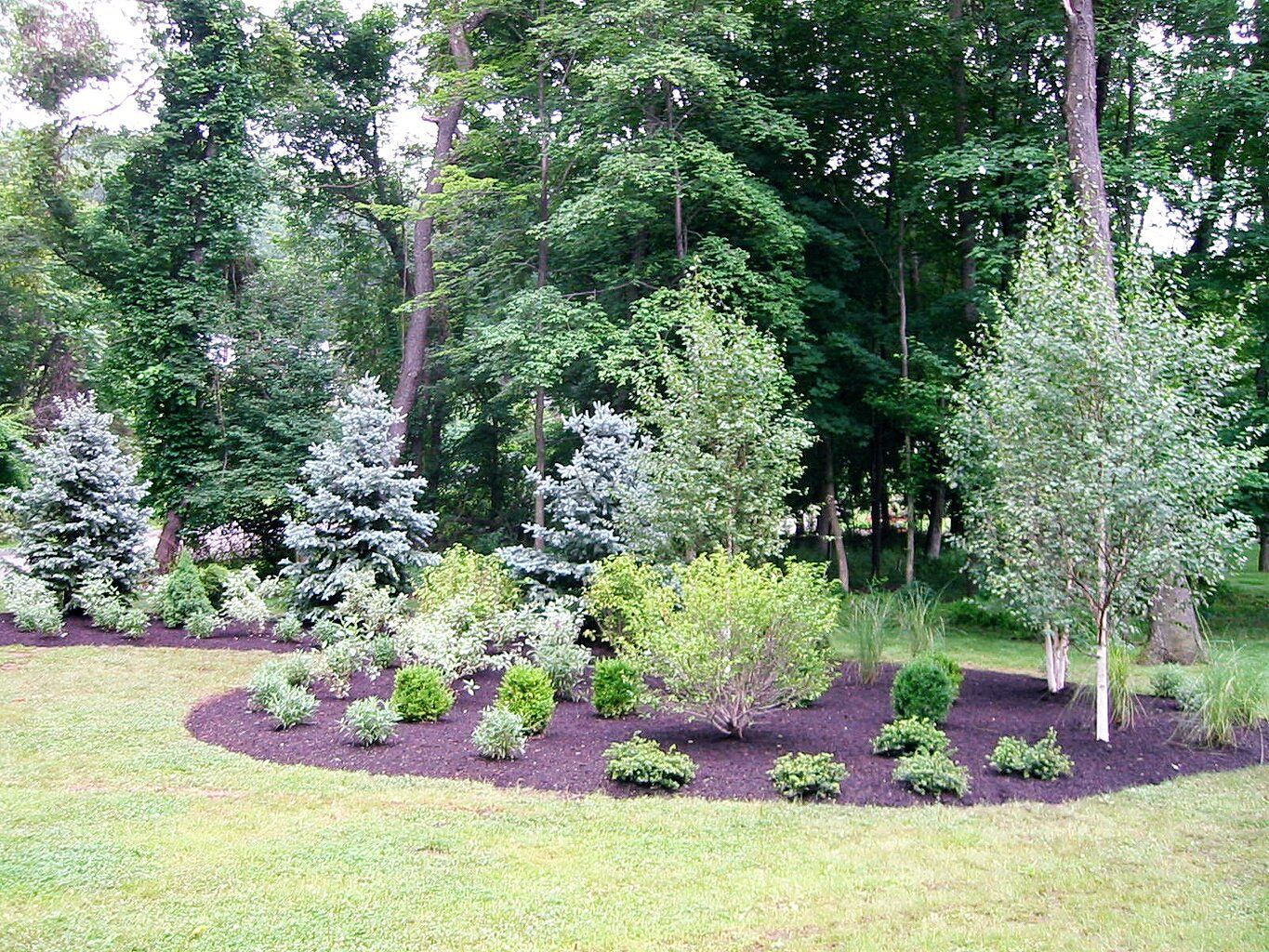 Tom Williamson Landscaping, inc image