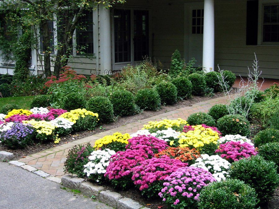 Tom Williamson Landscaping, inc image