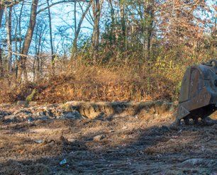 Wooded clearing with dry grass and a partial excavator bucket at the right edge
