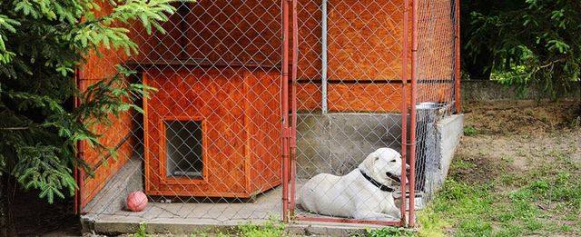 Delta pet outlet kennel