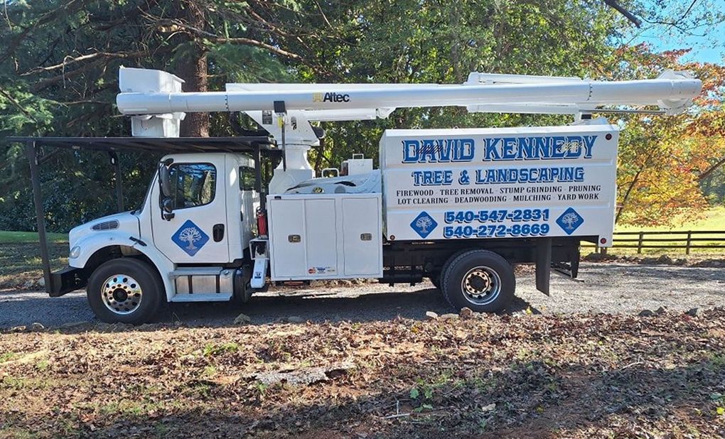David Kennedy Tree & Landscaping