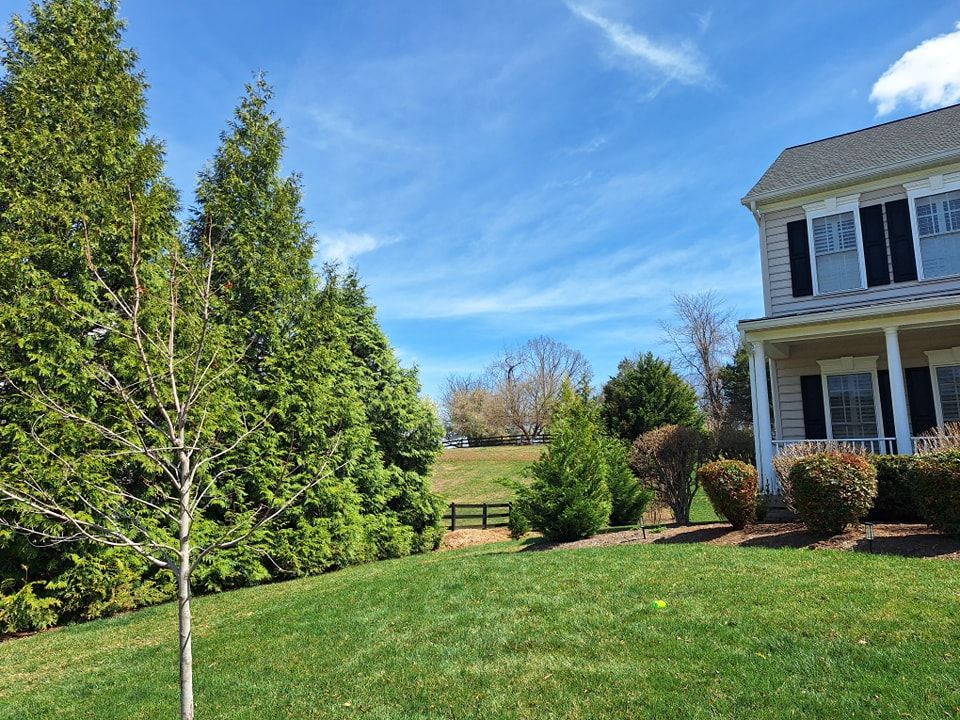 Lush green lawn with trees and a house under a blue sky.