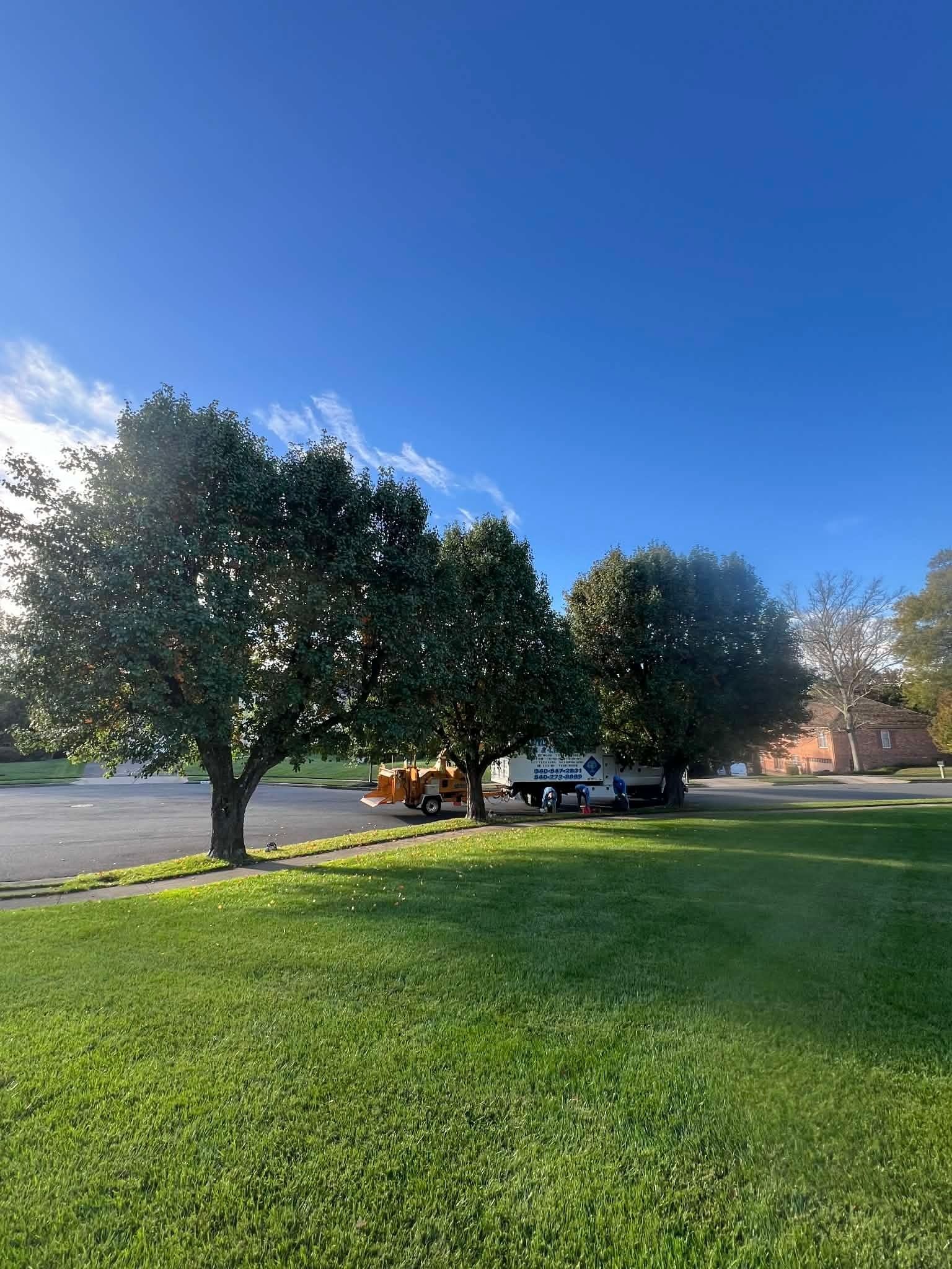 Bright blue sky over green lawn, trees, parked vehicles.