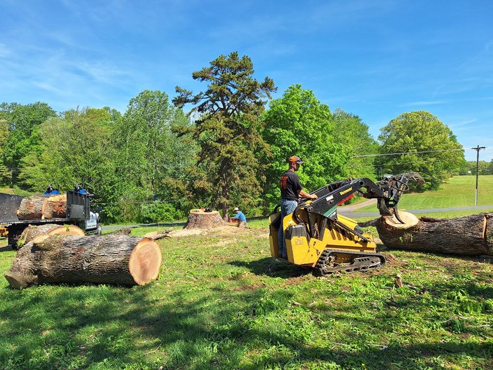 Man operating a yellow mini-skid steer with a log grapple, moving large logs in a grassy field.