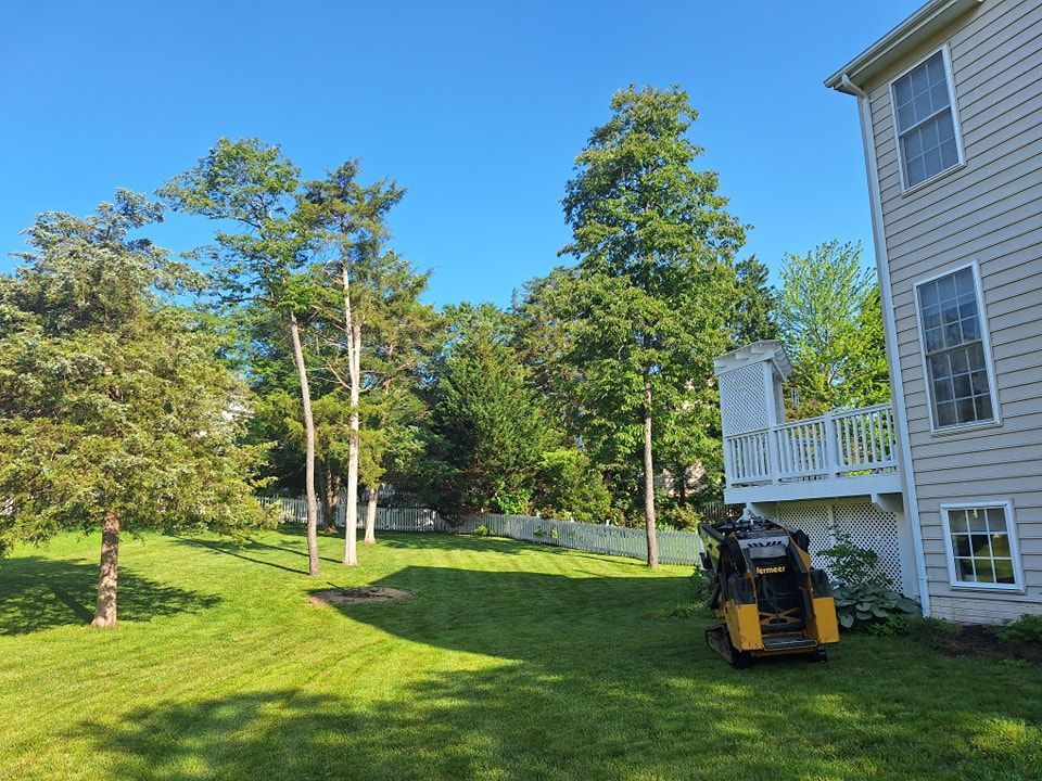 Lawn mower on a grassy yard next to a house, tall trees, and a bright blue sky.