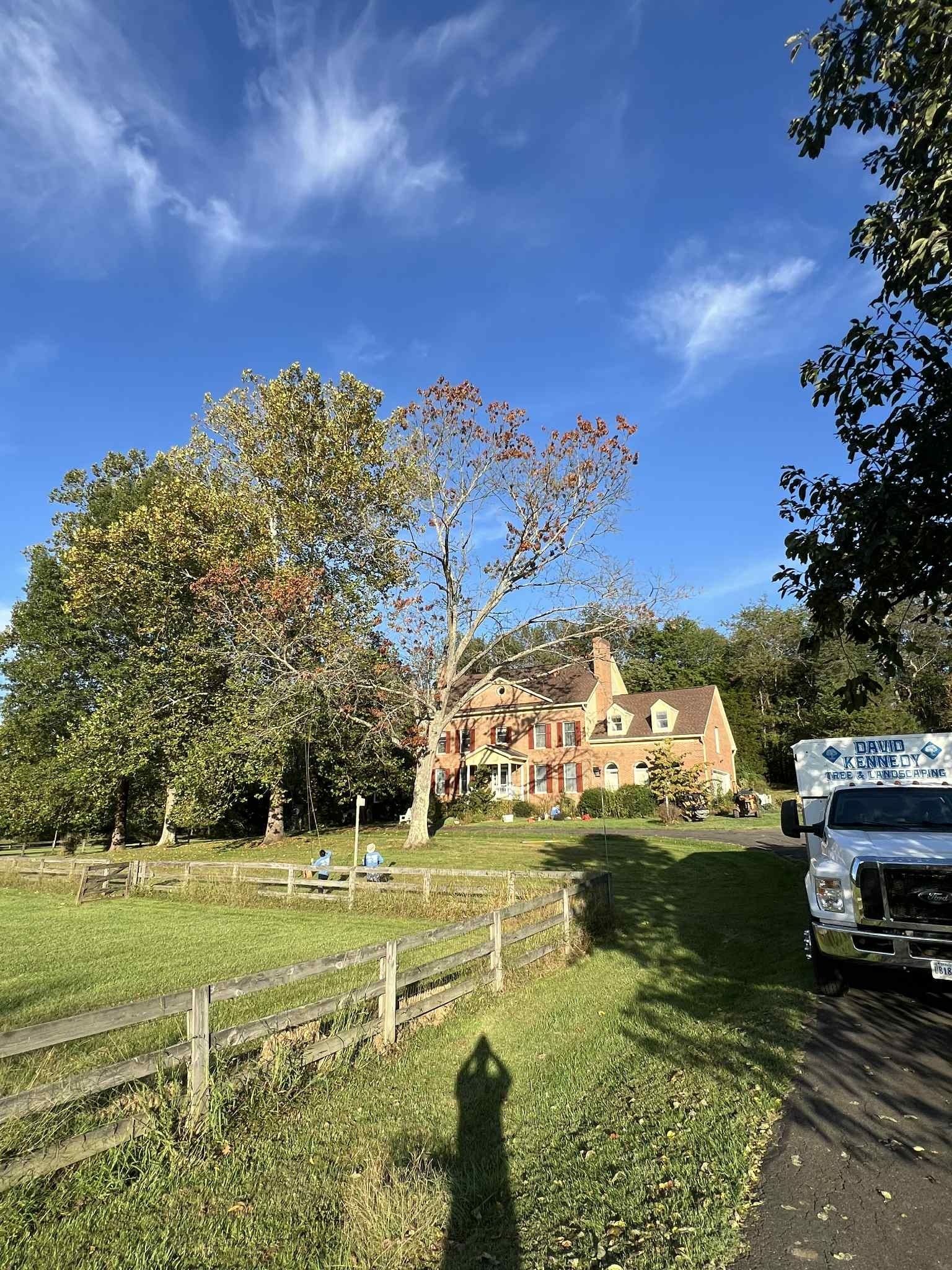A brick house with an ambulance parked nearby. A tree with red and green leaves stands in front. Sunny day.
