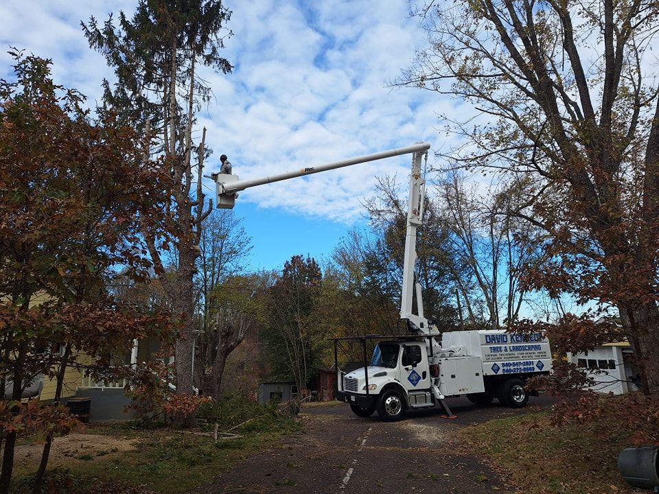 Tree trimming service truck with an elevated worker cutting a tall tree under a partly cloudy sky.
