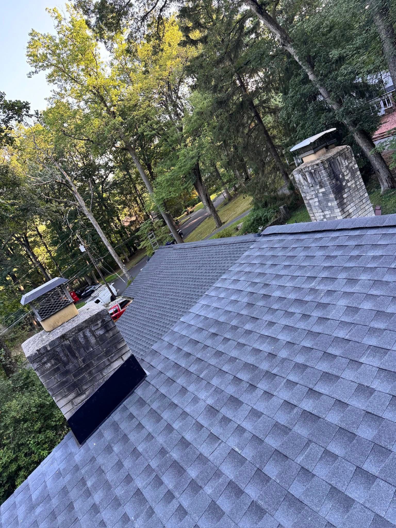 Sloped shingle roof with two chimneys, trees and yard in the background
