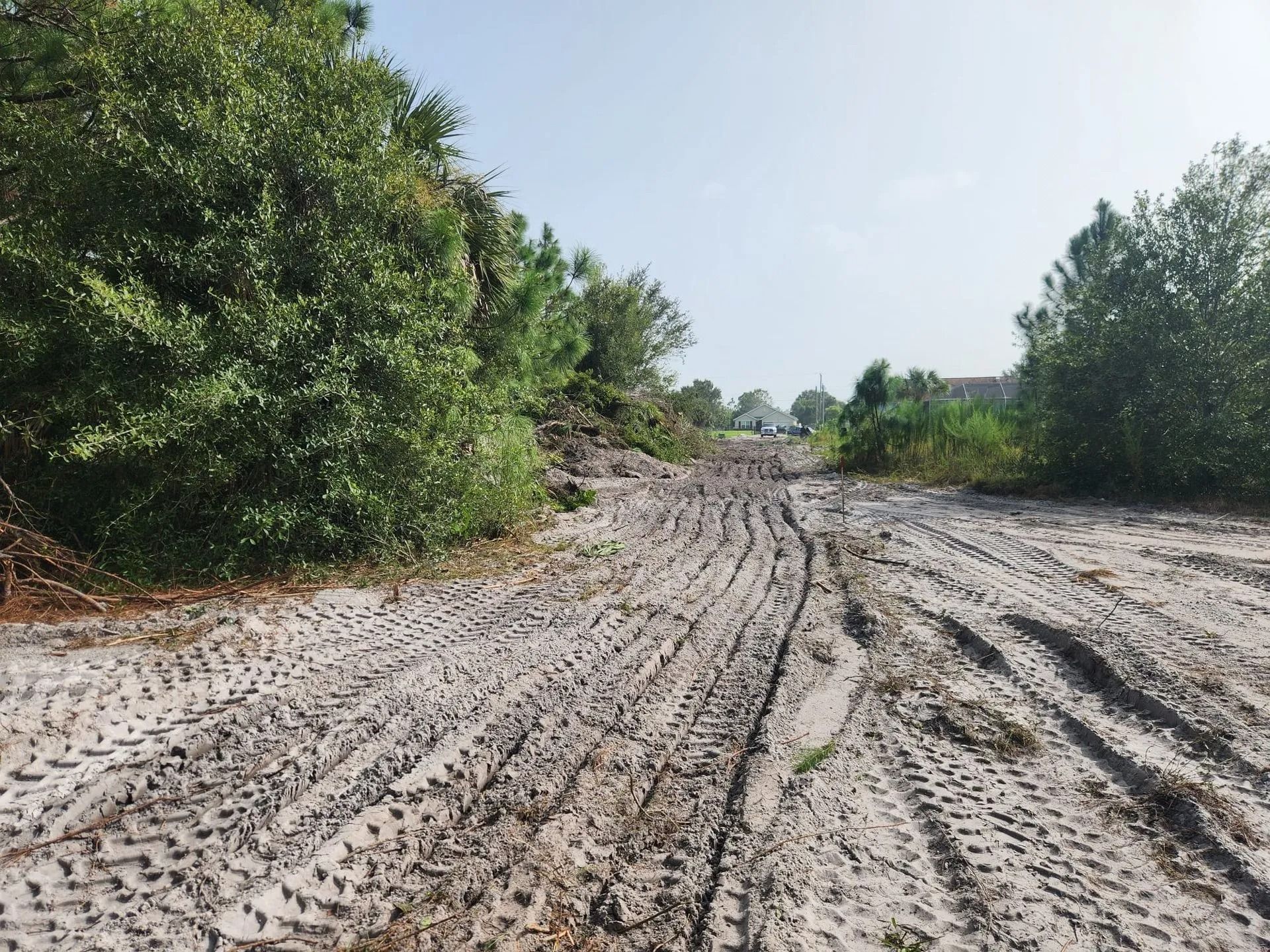 Sandy path with tire tracks, flanked by green bushes and trees, under a blue sky.